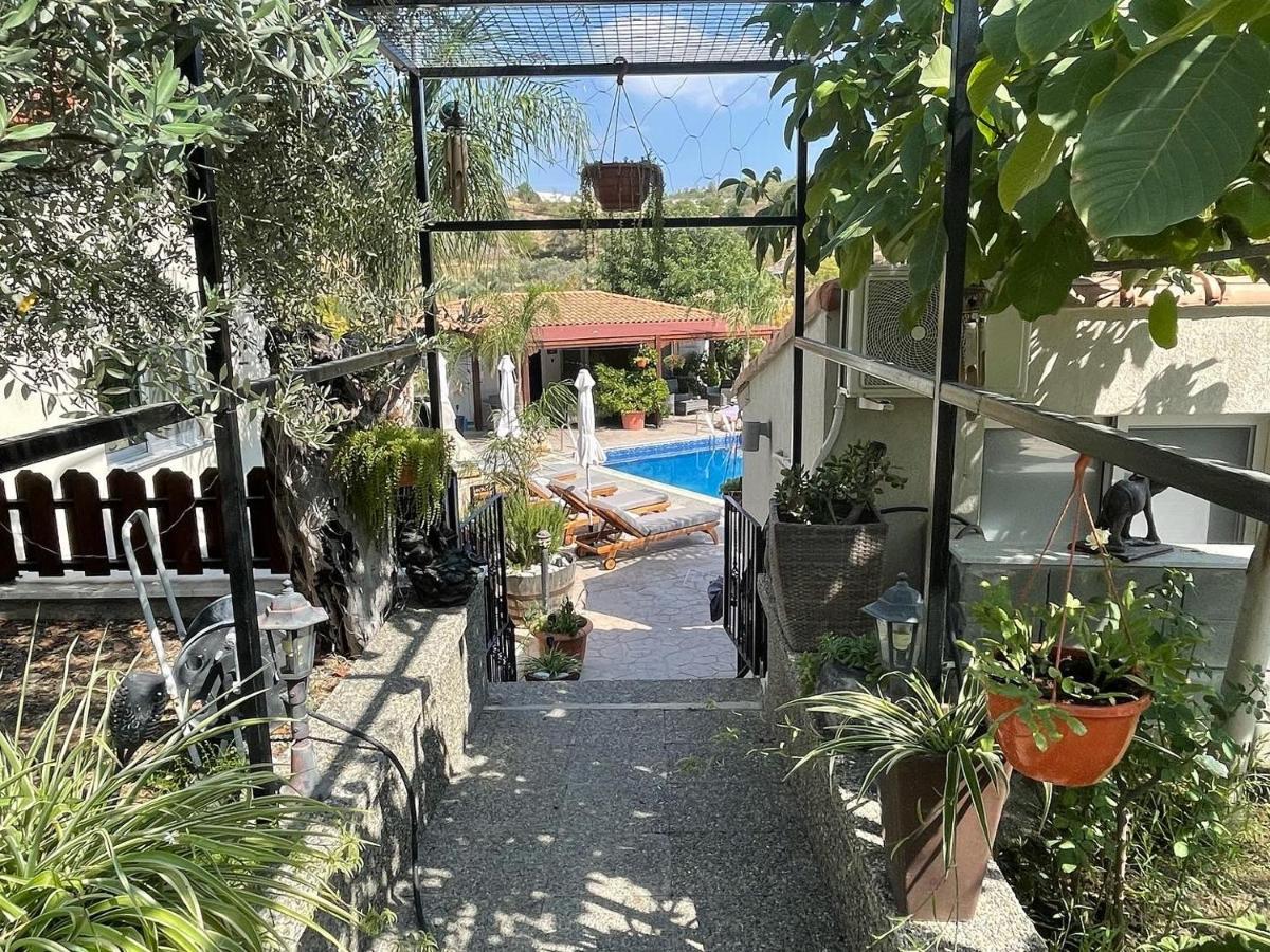 Sofros Valley Hills Chalet Agios Mamas المظهر الخارجي الصورة