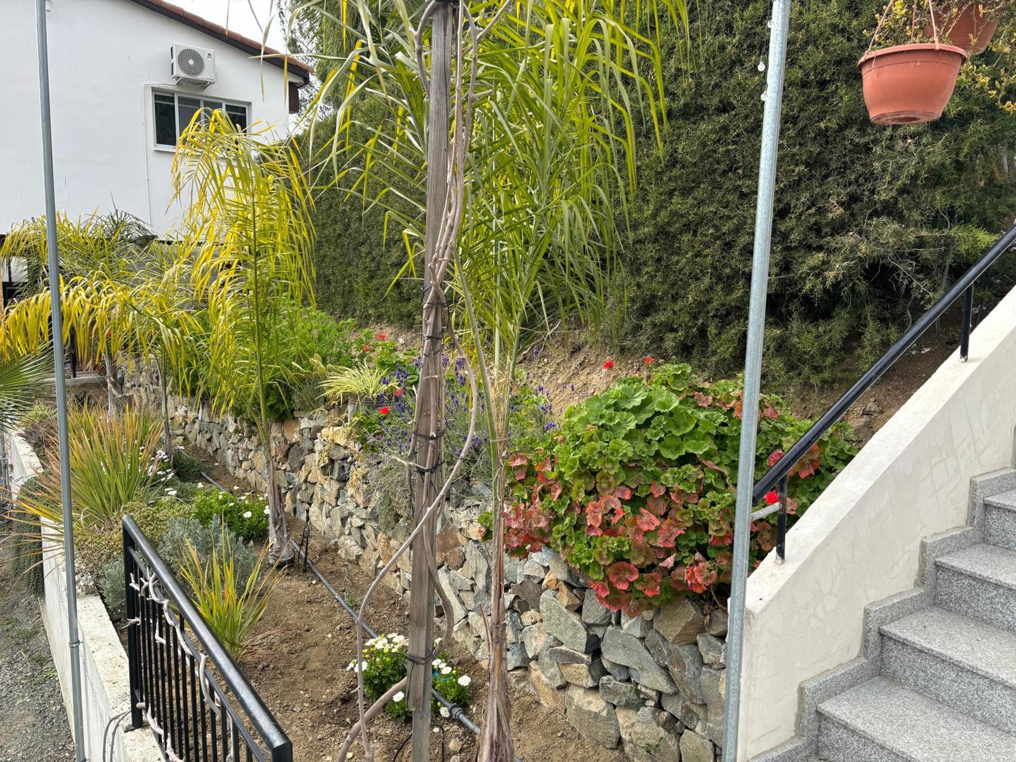 Sofros Valley Hills Chalet Agios Mamas المظهر الخارجي الصورة