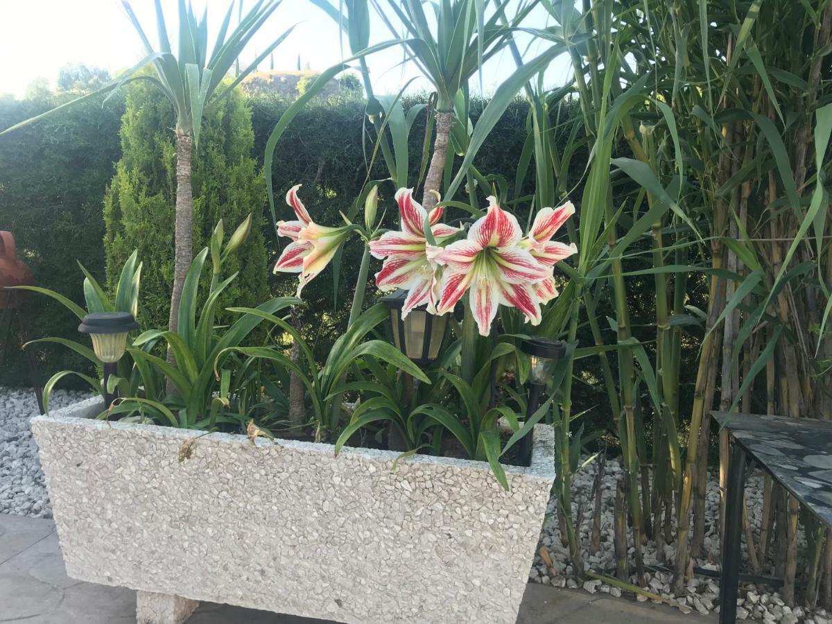 Sofros Valley Hills Chalet Agios Mamas المظهر الخارجي الصورة