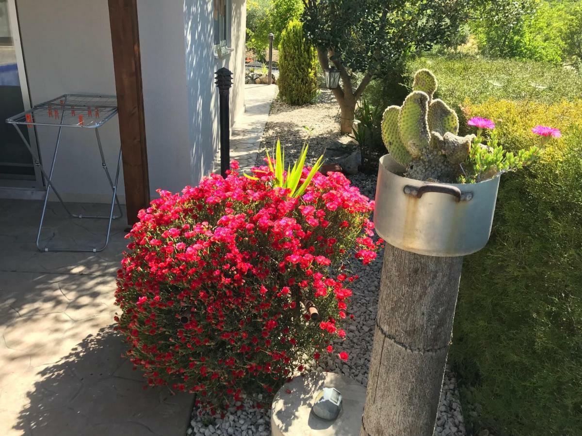 Sofros Valley Hills Chalet Agios Mamas المظهر الخارجي الصورة